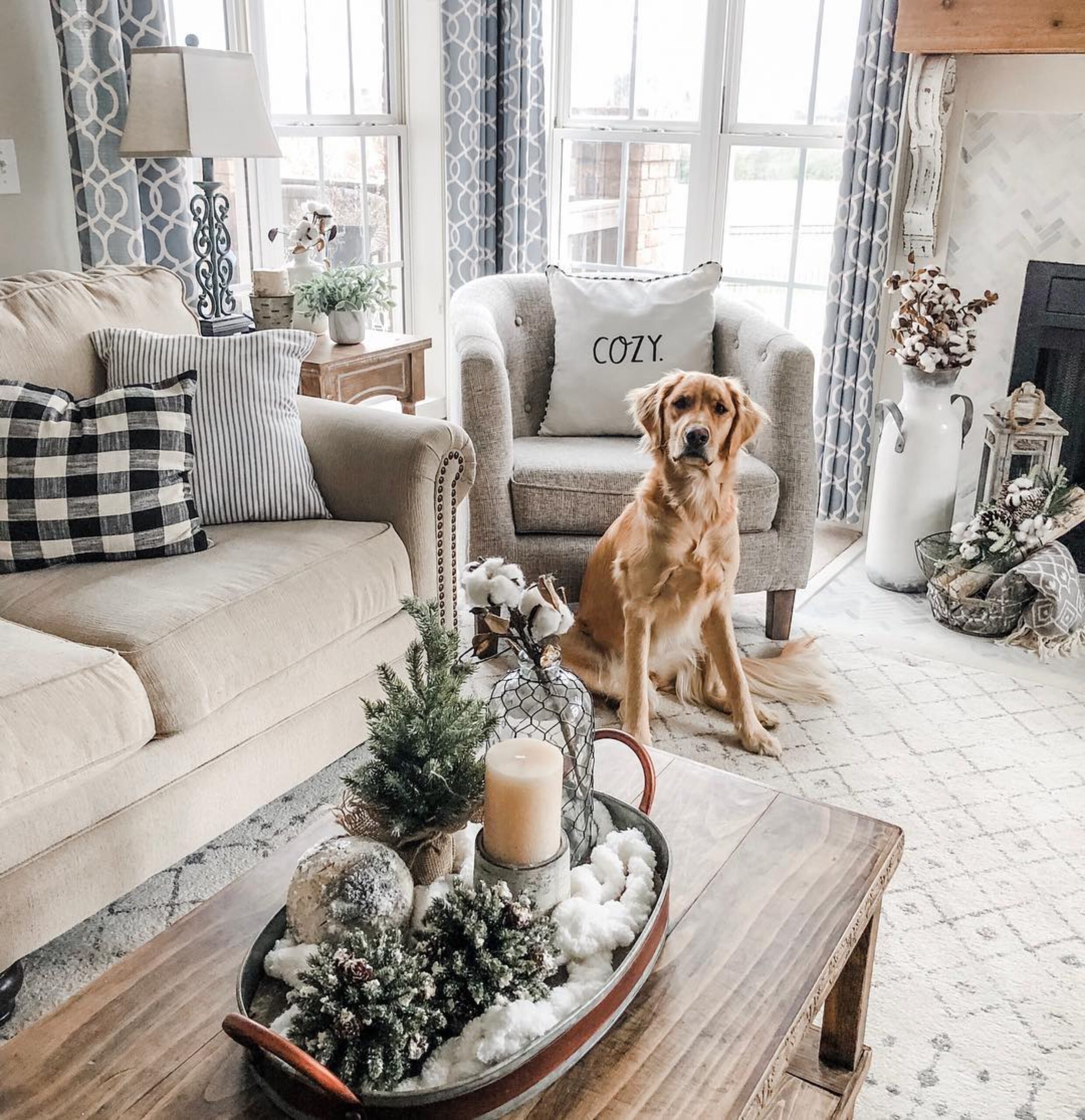 A golden retriever sits in a living room that beautifully transitions from Christmas to winter decor. The space is styled with a 'COZY.' pillow, wintry table decorations, and a warm color palette, maintaining a festive yet tranquil winter atmosphere.